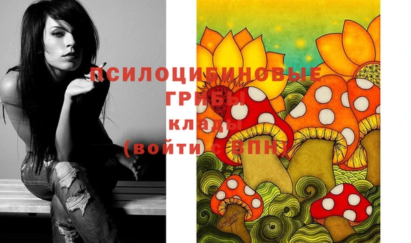 крисы Белоозёрский