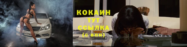 крисы Белоозёрский